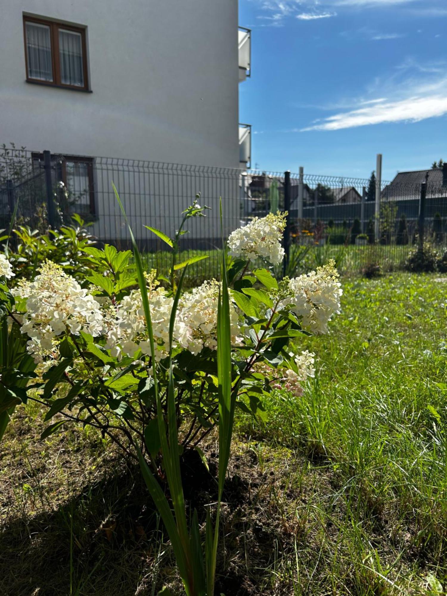 M&M Apartament Glogera Krakkó Kültér fotó
